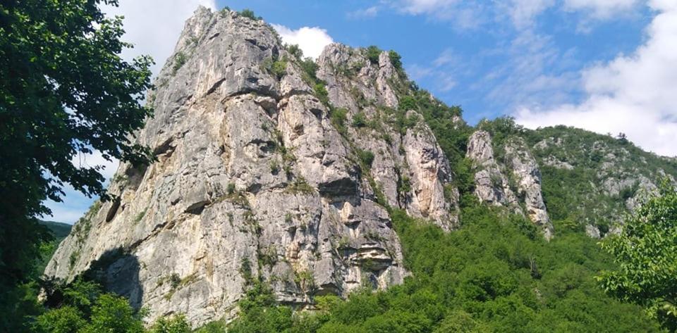 Odmaraliste Vlasko Zdrelo Pirot Dış mekan fotoğraf