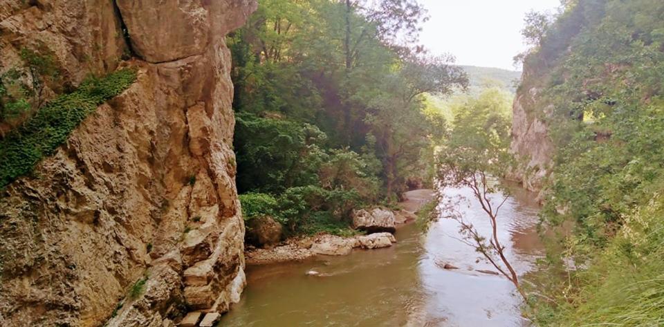 Odmaraliste Vlasko Zdrelo Pirot Dış mekan fotoğraf