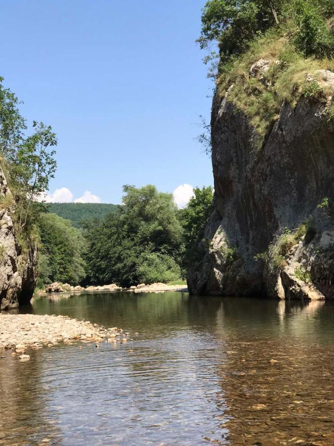 Odmaraliste Vlasko Zdrelo Pirot Dış mekan fotoğraf