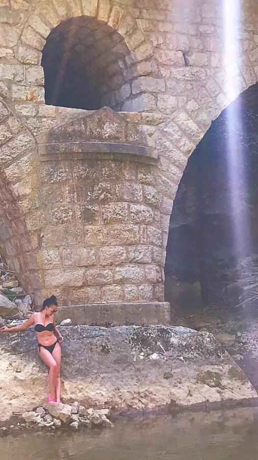Odmaraliste Vlasko Zdrelo Pirot Dış mekan fotoğraf