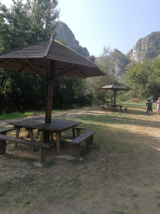 Odmaraliste Vlasko Zdrelo Pirot Dış mekan fotoğraf