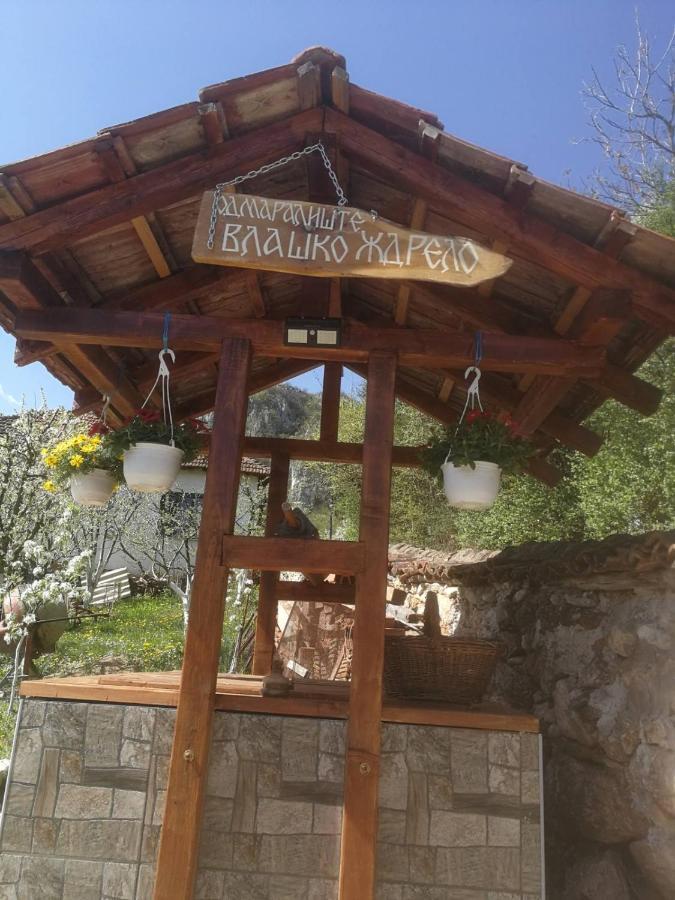 Odmaraliste Vlasko Zdrelo Pirot Dış mekan fotoğraf