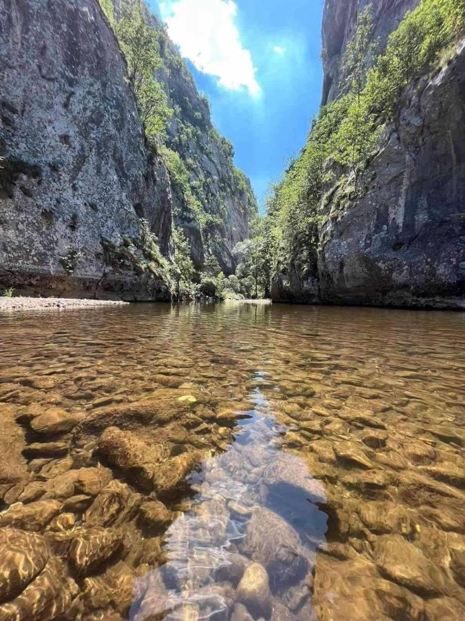 Odmaraliste Vlasko Zdrelo Pirot Dış mekan fotoğraf