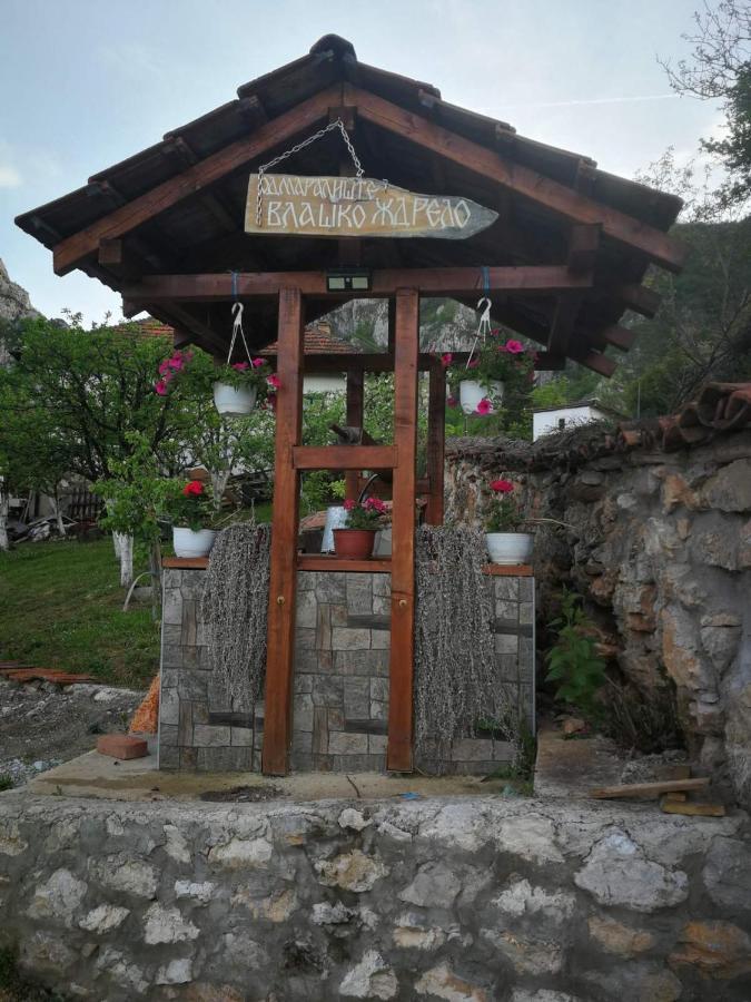 Odmaraliste Vlasko Zdrelo Pirot Dış mekan fotoğraf