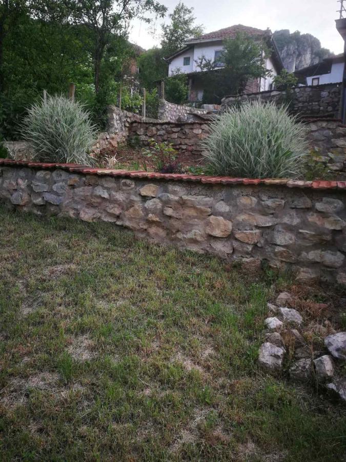 Odmaraliste Vlasko Zdrelo Pirot Dış mekan fotoğraf